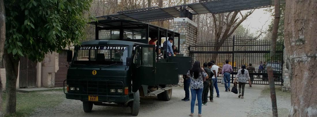 Dhikala Canter Safari, Jim Corbett Tiger Reserve.