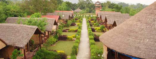 corbett-view-resort, Jim Corbett National Park.