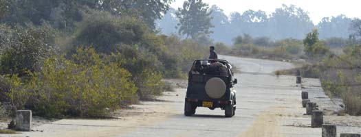 Dhikala 2N/3D Tour, Jim Corbett Tiger Reserve.