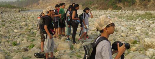 Corbett Group Tour, Jim Corbett Tiger Reserve.