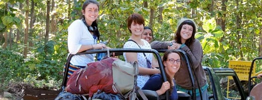 Corbett Holiday Tour, Jim Corbett Tiger Reserve.