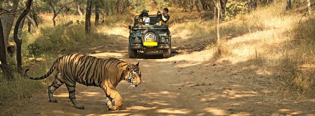 Corbett Holiday Tour, Jim Corbett Tiger Reserve.