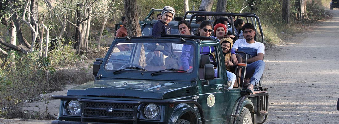Jeep Safari, Jim Corbett Tiger Reserve.