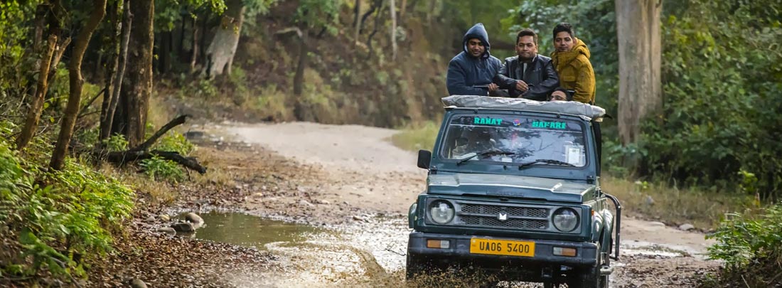 Tour Packages, Jim Corbett Tiger Reserve.