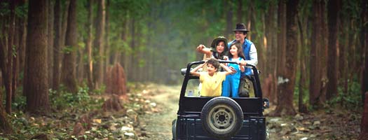 Corbett Weekend Tour, Jim Corbett Tiger Reserve.